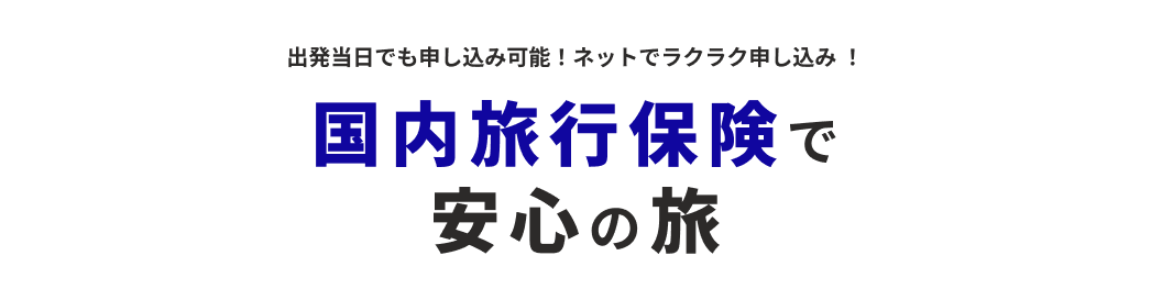 国内旅行保険で安心の旅